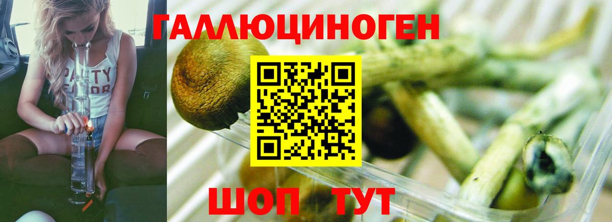 Галлюциногенные грибы мухоморы  Вход с VPN  Верхняя Пышма 